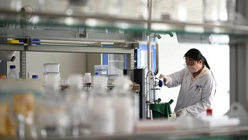 广州空心胶囊储存厂家：如何确保产品质量与合规性**