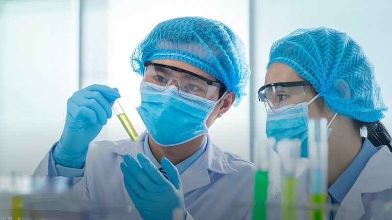 药用辅料价格波动背后的原因解析**