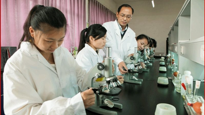 目前，市场上常见的药用辅料主要分为以下几类：