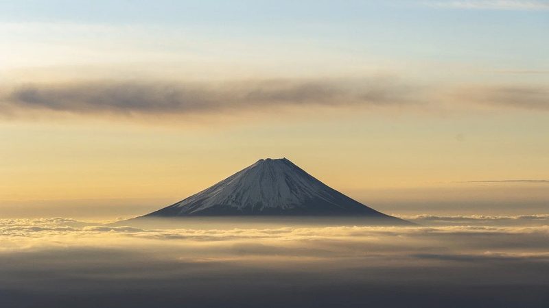 胶囊填充机用空心胶囊尺寸标准解析**