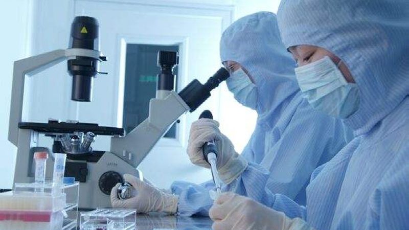 原料药注册申报：流程解析与费用概览