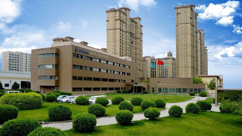 原料药GMP现场检查注意事项